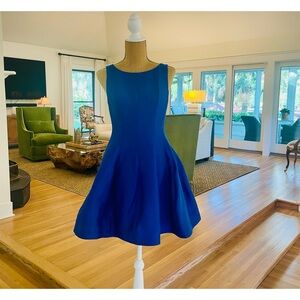 Halston Fit and Flare EUC